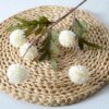 5 Tettes Decor Fleurs