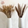 Bouquet de Pampas Naturelles Séchées