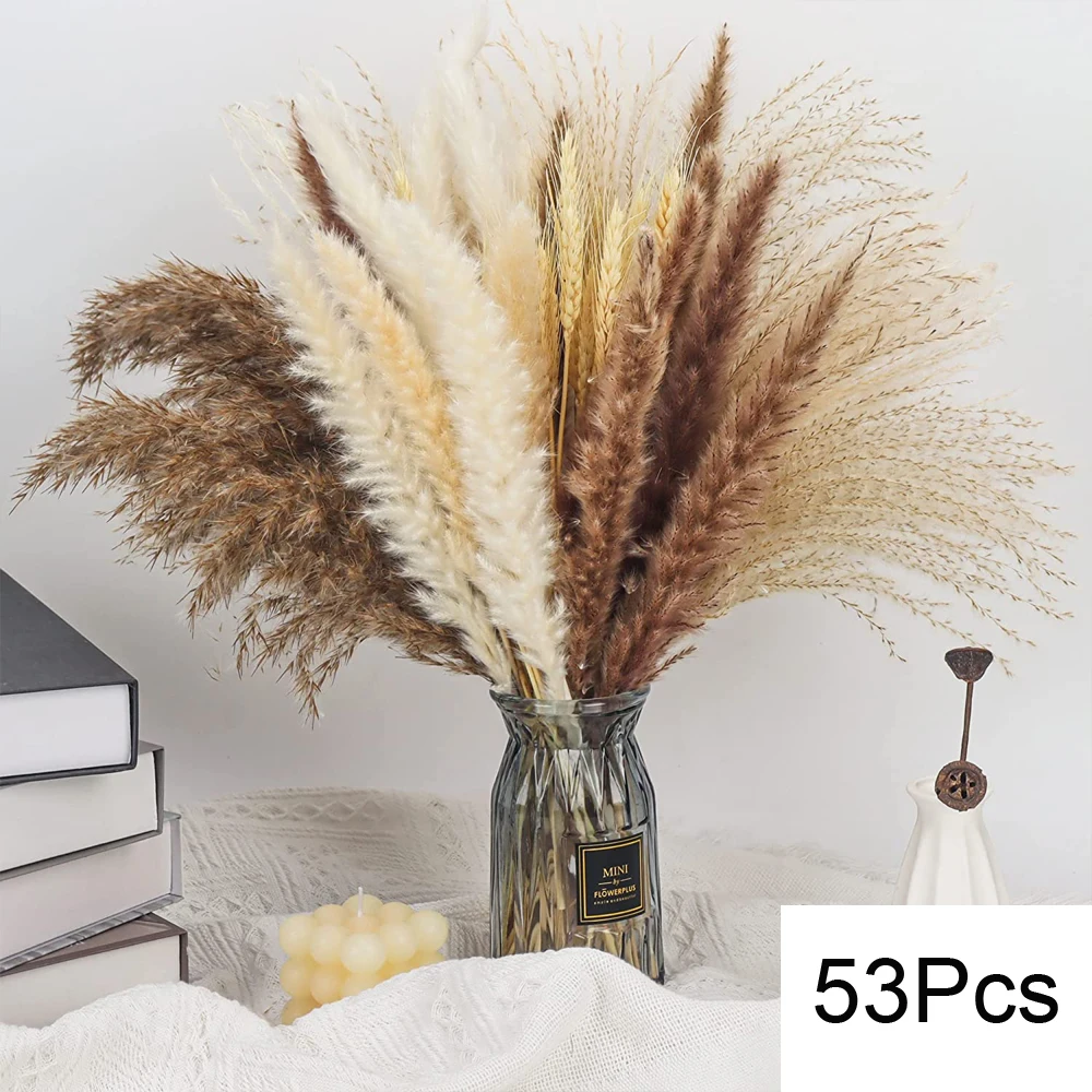 G-53PCS