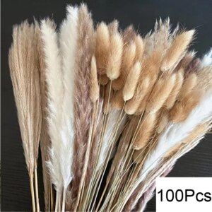 Bouquet de Pampas Naturelles Séchées