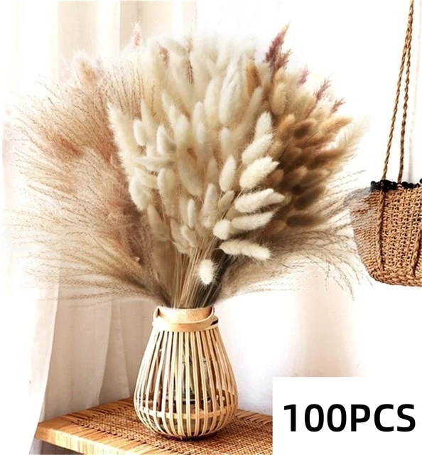 C-100PCS