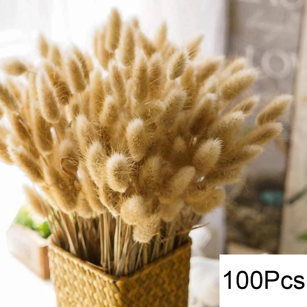 O-100PCS