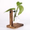 Mini Vase Hydroponique pour Intérieur