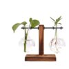 Mini Vase Hydroponique pour Intérieur