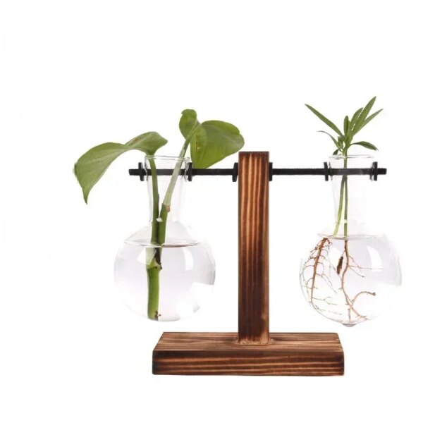 Mini Vase Hydroponique pour Intérieur
