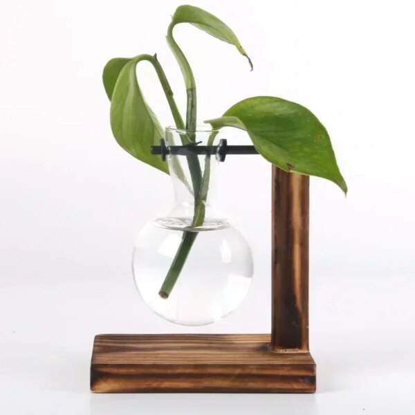 Mini Vase Hydroponique pour Intérieur
