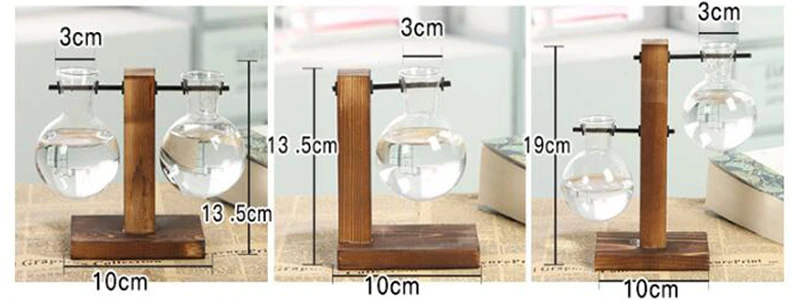 Hydroponic Plant Terrarium Vasevase Decoration Home Glass Bottle Hydroponic Desktop Decoration Office Green Plant Small Potted