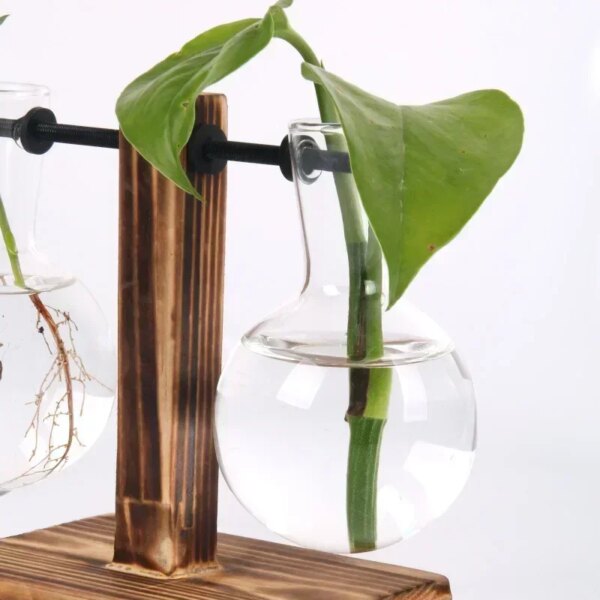 Mini Vase Hydroponique pour Intérieur