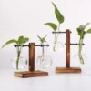 Mini Vase Hydroponique pour Intérieur