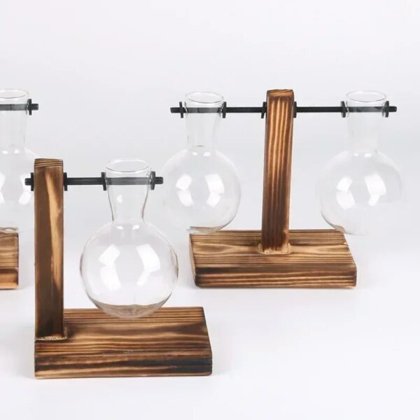 Mini Vase Hydroponique pour Intérieur