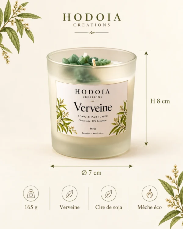 hodoia_bougies_botaniques_dimensions_verveine_v1 Bougie Botanique – Verveine