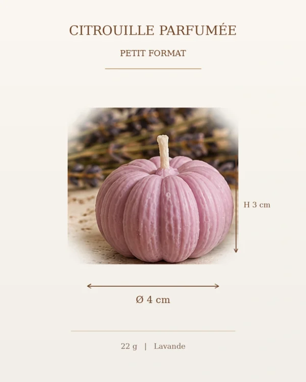 hodoia_bougies_citrouilles_dimensions_petite_mauve_v1 Bougies Citrouilles parfumées