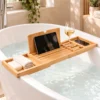 Plateau de baignoire extensible